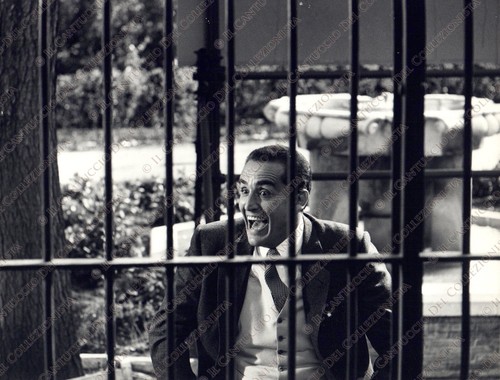 1967 film scatenato - lo,
